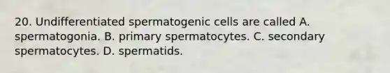 20. Undifferentiated spermatogenic cells are called A. spermatogonia. B. primary spermatocytes. C. secondary spermatocytes. D. spermatids.