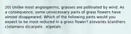 20) Unlike most angiosperms, grasses are pollinated by wind. As a consequence, some unnecessary parts of grass flowers have almost disappeared. Which of the following parts would you expect to be most reduced in a grass flower? a)ovaries b)anthers c)stamens d)carpels . e)petals