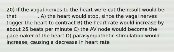 20) If the vagal nerves to <a href='https://www.questionai.com/knowledge/kya8ocqc6o-the-heart' class='anchor-knowledge'>the heart</a> were cut the result would be that ________. A) the heart would stop, since the vagal nerves trigger the heart to contract B) the heart rate would increase by about 25 beats per minute C) the AV node would become the pacemaker of the heart D) parasympathetic stimulation would increase, causing a decrease in heart rate