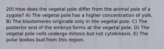 20) How does the vegetal pole differ from the animal pole of a zygote? A) The vegetal pole has a higher concentration of yolk. B) The blastomeres originate only in the vegetal pole. C) The posterior end of the embryo forms at the vegetal pole. D) The vegetal pole cells undergo mitosis but not cytokinesis. E) The polar bodies bud from this region.