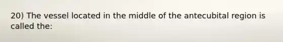 20) The vessel located in the middle of the antecubital region is called the: