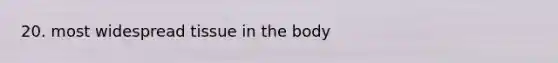 20. most widespread tissue in the body