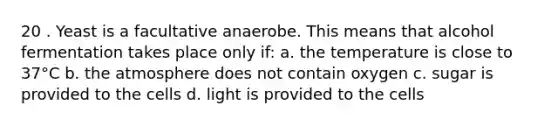 20 . Yeast is a facultative anaerobe. This means that alcohol fermentation takes place only if: a. the temperature is close to 37°C b. the atmosphere does not contain oxygen c. sugar is provided to the cells d. light is provided to the cells