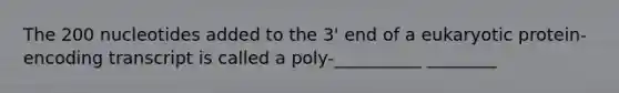 The 200 nucleotides added to the 3' end of a eukaryotic protein-encoding transcript is called a poly-__________ ________