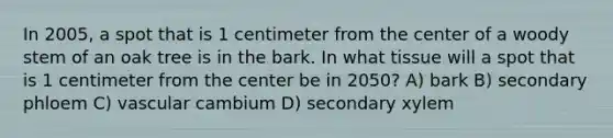 In 2005, a spot that is 1 centimeter from the center of a woody stem of an oak tree is in the bark. In what tissue will a spot that is 1 centimeter from the center be in 2050? A) bark B) secondary phloem C) vascular cambium D) secondary xylem