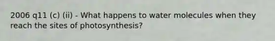 2006 q11 (c) (ii) - What happens to water molecules when they reach the sites of photosynthesis?