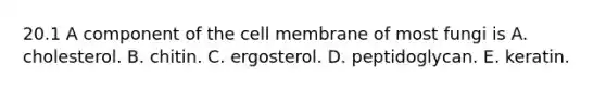 20.1 A component of the cell membrane of most fungi is A. cholesterol. B. chitin. C. ergosterol. D. peptidoglycan. E. keratin.