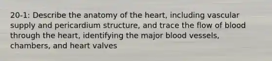 20-1: Describe the anatomy of the heart, including vascular supply and pericardium structure, and trace the flow of blood through the heart, identifying the major blood vessels, chambers, and heart valves