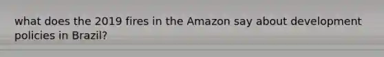 what does the 2019 fires in the Amazon say about development policies in Brazil?
