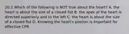 20.2 Which of the following is NOT true about the heart? A. the heart is about the size of a closed fist B. the apex of the heart is directed superiorly and to the left C. the heart is about the size of a closed fist D. Knowing the heart's postion is important for effective CPR