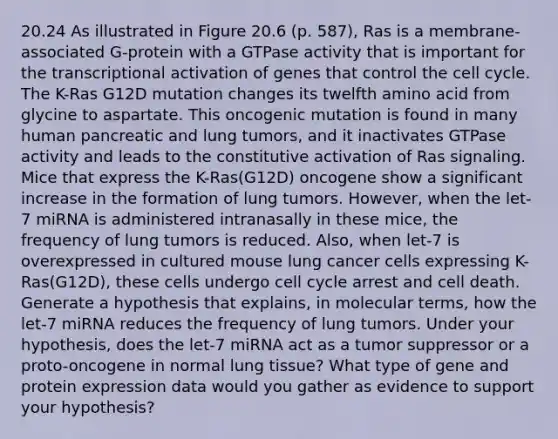 20.24 As illustrated in Figure 20.6 (p. 587), Ras is a membrane-associated G-protein with a GTPase activity that is important for the transcriptional activation of genes that control the cell cycle. The K-Ras G12D mutation changes its twelfth amino acid from glycine to aspartate. This oncogenic mutation is found in many human pancreatic and lung tumors, and it inactivates GTPase activity and leads to the constitutive activation of Ras signaling. Mice that express the K-Ras(G12D) oncogene show a significant increase in the formation of lung tumors. However, when the let-7 miRNA is administered intranasally in these mice, the frequency of lung tumors is reduced. Also, when let-7 is overexpressed in cultured mouse lung cancer cells expressing K-Ras(G12D), these cells undergo cell cycle arrest and cell death. Generate a hypothesis that explains, in molecular terms, how the let-7 miRNA reduces the frequency of lung tumors. Under your hypothesis, does the let-7 miRNA act as a tumor suppressor or a proto-oncogene in normal lung tissue? What type of gene and protein expression data would you gather as evidence to support your hypothesis?