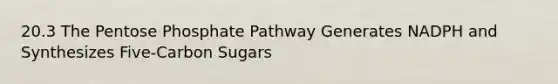 20.3 The Pentose Phosphate Pathway Generates NADPH and Synthesizes Five-Carbon Sugars