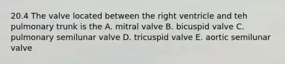 20.4 The valve located between the right ventricle and teh pulmonary trunk is the A. mitral valve B. bicuspid valve C. pulmonary semilunar valve D. tricuspid valve E. aortic semilunar valve