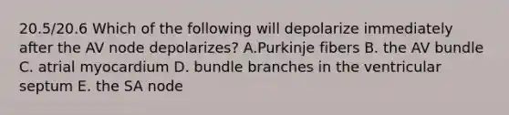 20.5/20.6 Which of the following will depolarize immediately after the AV node depolarizes? A.Purkinje fibers B. the AV bundle C. atrial myocardium D. bundle branches in the ventricular septum E. the SA node