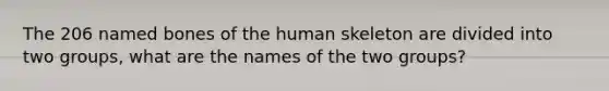 The 206 named bones of the human skeleton are divided into two groups, what are the names of the two groups?