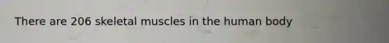 There are 206 skeletal muscles in the human body