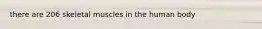 there are 206 skeletal muscles in the human body