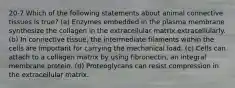 20-7 Which of the following statements about animal connective tissues is true? (a) Enzymes embedded in the plasma membrane synthesize the collagen in the extracellular matrix extracellularly. (b) In connective tissue, the intermediate filaments within the cells are important for carrying the mechanical load. (c) Cells can attach to a collagen matrix by using fibronectin, an integral membrane protein. (d) Proteoglycans can resist compression in the extracellular matrix.