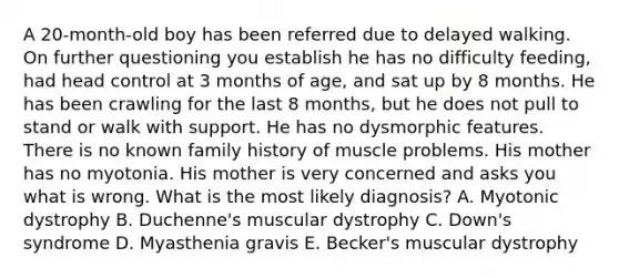 A 20-month-old boy has been referred due to delayed walking. On further questioning you establish he has no difficulty feeding, had head control at 3 months of age, and sat up by 8 months. He has been crawling for the last 8 months, but he does not pull to stand or walk with support. He has no dysmorphic features. There is no known family history of muscle problems. His mother has no myotonia. His mother is very concerned and asks you what is wrong. What is the most likely diagnosis? A. Myotonic dystrophy B. Duchenne's muscular dystrophy C. Down's syndrome D. Myasthenia gravis E. Becker's muscular dystrophy