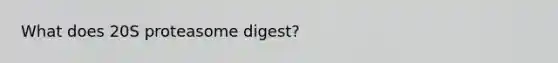 What does 20S proteasome digest?