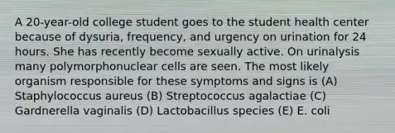 A 20-year-old college student goes to the student health center because of dysuria, frequency, and urgency on urination for 24 hours. She has recently become sexually active. On urinalysis many polymorphonuclear cells are seen. The most likely organism responsible for these symptoms and signs is (A) Staphylococcus aureus (B) Streptococcus agalactiae (C) Gardnerella vaginalis (D) Lactobacillus species (E) E. coli