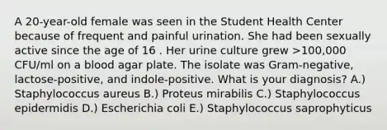 A 20-year-old female was seen in the Student Health Center because of frequent and painful urination. She had been sexually active since the age of 16 . Her urine culture grew >100,000 CFU/ml on a blood agar plate. The isolate was Gram-negative, lactose-positive, and indole-positive. What is your diagnosis? A.) Staphylococcus aureus B.) Proteus mirabilis C.) Staphylococcus epidermidis D.) Escherichia coli E.) Staphylococcus saprophyticus