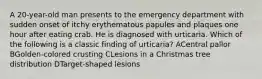 A 20-year-old man presents to the emergency department with sudden onset of itchy erythematous papules and plaques one hour after eating crab. He is diagnosed with urticaria. Which of the following is a classic finding of urticaria? ACentral pallor BGolden-colored crusting CLesions in a Christmas tree distribution DTarget-shaped lesions