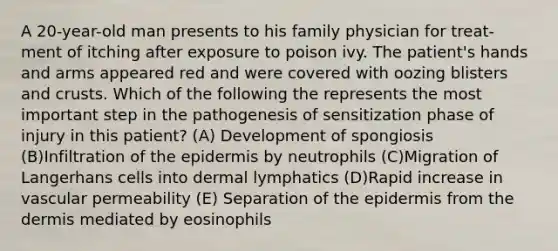 A 20-year-old man presents to his family physician for treat- ment of itching after exposure to poison ivy. The patient's hands and arms appeared red and were covered with oozing blisters and crusts. Which of the following the represents the most important step in the pathogenesis of sensitization phase of injury in this patient? (A) Development of spongiosis (B)Infiltration of the epidermis by neutrophils (C)Migration of Langerhans cells into dermal lymphatics (D)Rapid increase in vascular permeability (E) Separation of the epidermis from the dermis mediated by eosinophils