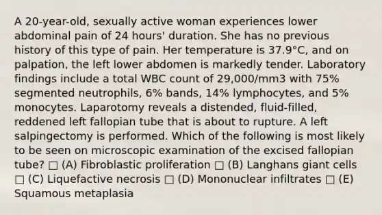 A 20-year-old, sexually active woman experiences lower abdominal pain of 24 hours' duration. She has no previous history of this type of pain. Her temperature is 37.9°C, and on palpation, the left lower abdomen is markedly tender. Laboratory findings include a total WBC count of 29,000/mm3 with 75% segmented neutrophils, 6% bands, 14% lymphocytes, and 5% monocytes. Laparotomy reveals a distended, fluid-filled, reddened left fallopian tube that is about to rupture. A left salpingectomy is performed. Which of the following is most likely to be seen on microscopic examination of the excised fallopian tube? □ (A) Fibroblastic proliferation □ (B) Langhans giant cells □ (C) Liquefactive necrosis □ (D) Mononuclear infiltrates □ (E) Squamous metaplasia