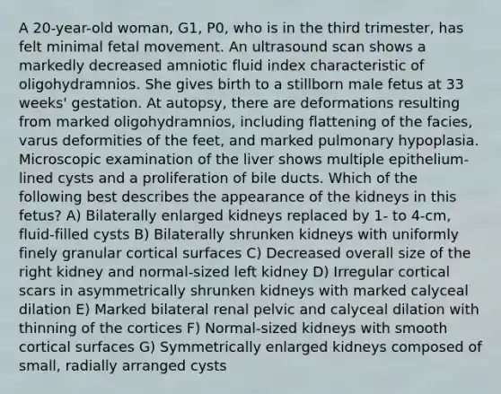 A 20-year-old woman, G1, P0, who is in the third trimester, has felt minimal fetal movement. An ultrasound scan shows a markedly decreased amniotic fluid index characteristic of oligohydramnios. She gives birth to a stillborn male fetus at 33 weeks' gestation. At autopsy, there are deformations resulting from marked oligohydramnios, including flattening of the facies, varus deformities of the feet, and marked pulmonary hypoplasia. Microscopic examination of the liver shows multiple epithelium-lined cysts and a proliferation of bile ducts. Which of the following best describes the appearance of the kidneys in this fetus? A) Bilaterally enlarged kidneys replaced by 1- to 4-cm, fluid-filled cysts B) Bilaterally shrunken kidneys with uniformly finely granular cortical surfaces C) Decreased overall size of the right kidney and normal-sized left kidney D) Irregular cortical scars in asymmetrically shrunken kidneys with marked calyceal dilation E) Marked bilateral renal pelvic and calyceal dilation with thinning of the cortices F) Normal-sized kidneys with smooth cortical surfaces G) Symmetrically enlarged kidneys composed of small, radially arranged cysts