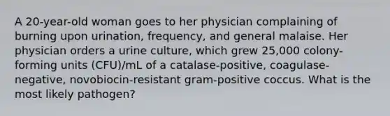 A 20-year-old woman goes to her physician complaining of burning upon urination, frequency, and general malaise. Her physician orders a urine culture, which grew 25,000 colony-forming units (CFU)/mL of a catalase-positive, coagulase-negative, novobiocin-resistant gram-positive coccus. What is the most likely pathogen?