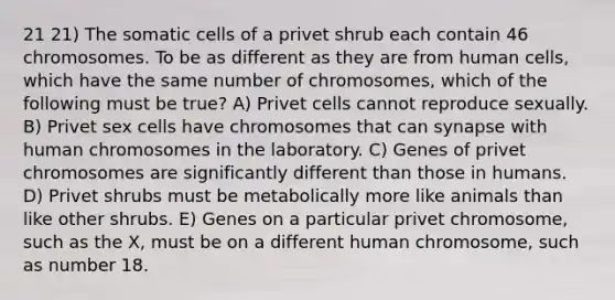 21 21) The somatic cells of a privet shrub each contain 46 chromosomes. To be as different as they are from human cells, which have the same number of chromosomes, which of the following must be true? A) Privet cells cannot reproduce sexually. B) Privet sex cells have chromosomes that can synapse with human chromosomes in the laboratory. C) Genes of privet chromosomes are significantly different than those in humans. D) Privet shrubs must be metabolically more like animals than like other shrubs. E) Genes on a particular privet chromosome, such as the X, must be on a different human chromosome, such as number 18.