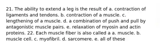 21. The ability to extend a leg is the result of a. contraction of ligaments and tendons. b. contraction of a muscle. c. lengthening of a muscle. d. a combination of push and pull by antagonistic muscle pairs. e. relaxation of myosin and actin proteins. 22. Each muscle fiber is also called a a. muscle. b. muscle cell. c. myofibril. d. sarcomere. e. all of these