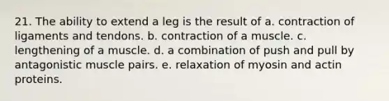 21. The ability to extend a leg is the result of a. contraction of ligaments and tendons. b. contraction of a muscle. c. lengthening of a muscle. d. a combination of push and pull by antagonistic muscle pairs. e. relaxation of myosin and actin proteins.