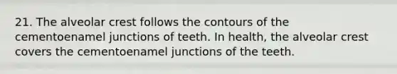 21. The alveolar crest follows the contours of the cementoenamel junctions of teeth. In health, the alveolar crest covers the cementoenamel junctions of the teeth.