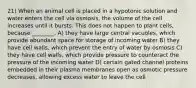 21) When an animal cell is placed in a hypotonic solution and water enters the cell via osmosis, the volume of the cell increases until it bursts. This does not happen to plant cells, because ________. A) they have large central vacuoles, which provide abundant space for storage of incoming water B) they have cell walls, which prevent the entry of water by osmosis C) they have cell walls, which provide pressure to counteract the pressure of the incoming water D) certain gated channel proteins embedded in their plasma membranes open as osmotic pressure decreases, allowing excess water to leave the cell