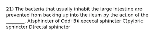 21) The bacteria that usually inhabit the large intestine are prevented from backing up into the ileum by the action of the ________. A)sphincter of Oddi B)ileocecal sphincter C)pyloric sphincter D)rectal sphincter