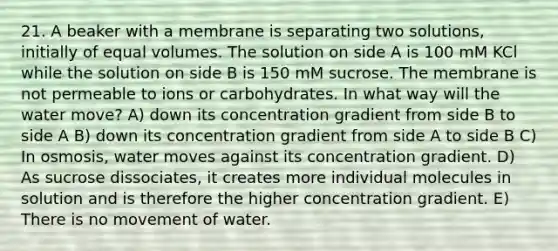 21. A beaker with a membrane is separating two solutions, initially of equal volumes. The solution on side A is 100 mM KCl while the solution on side B is 150 mM sucrose. The membrane is not permeable to ions or carbohydrates. In what way will the water move? A) down its concentration gradient from side B to side A B) down its concentration gradient from side A to side B C) In osmosis, water moves against its concentration gradient. D) As sucrose dissociates, it creates more individual molecules in solution and is therefore the higher concentration gradient. E) There is no movement of water.