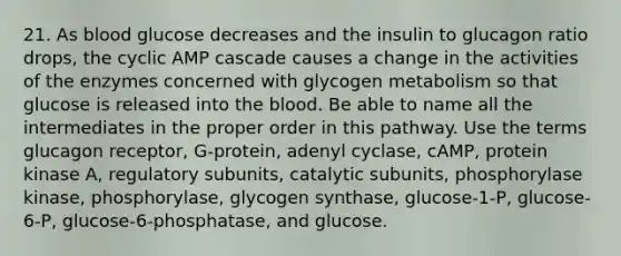 21. As blood glucose decreases and the insulin to glucagon ratio drops, the cyclic AMP cascade causes a change in the activities of the enzymes concerned with glycogen metabolism so that glucose is released into the blood. Be able to name all the intermediates in the proper order in this pathway. Use the terms glucagon receptor, G-protein, adenyl cyclase, cAMP, protein kinase A, regulatory subunits, catalytic subunits, phosphorylase kinase, phosphorylase, glycogen synthase, glucose-1-P, glucose-6-P, glucose-6-phosphatase, and glucose.