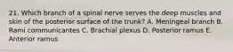 21. Which branch of a spinal nerve serves the deep muscles and skin of the posterior surface of the trunk? A. Meningeal branch B. Rami communicantes C. Brachial plexus D. Posterior ramus E. Anterior ramus