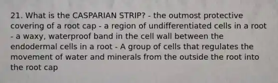 21. What is the CASPARIAN STRIP? - the outmost protective covering of a root cap - a region of undifferentiated cells in a root - a waxy, waterproof band in the cell wall between the endodermal cells in a root - A group of cells that regulates the movement of water and minerals from the outside the root into the root cap