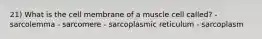 21) What is the cell membrane of a muscle cell called? - sarcolemma - sarcomere - sarcoplasmic reticulum - sarcoplasm