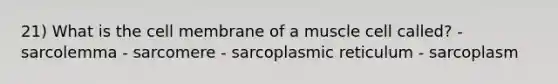 21) What is the cell membrane of a muscle cell called? - sarcolemma - sarcomere - sarcoplasmic reticulum - sarcoplasm