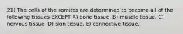 21) The cells of the somites are determined to become all of the following tissues EXCEPT A) bone tissue. B) muscle tissue. C) nervous tissue. D) skin tissue. E) connective tissue.