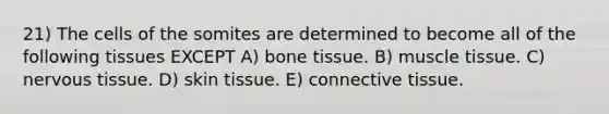 21) The cells of the somites are determined to become all of the following tissues EXCEPT A) bone tissue. B) <a href='https://www.questionai.com/knowledge/kMDq0yZc0j-muscle-tissue' class='anchor-knowledge'>muscle tissue</a>. C) <a href='https://www.questionai.com/knowledge/kqA5Ws88nP-nervous-tissue' class='anchor-knowledge'>nervous tissue</a>. D) skin tissue. E) <a href='https://www.questionai.com/knowledge/kYDr0DHyc8-connective-tissue' class='anchor-knowledge'>connective tissue</a>.