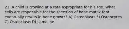 21. A child is growing at a rate appropriate for his age. What cells are responsible for the secretion of bone matrix that eventually results in bone growth? A) Osteoblasts B) Osteocytes C) Osteoclasts D) Lamellae