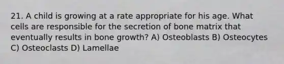 21. A child is growing at a rate appropriate for his age. What cells are responsible for the secretion of bone matrix that eventually results in bone growth? A) Osteoblasts B) Osteocytes C) Osteoclasts D) Lamellae