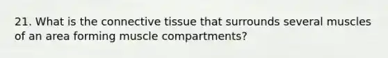 21. What is the connective tissue that surrounds several muscles of an area forming muscle compartments?