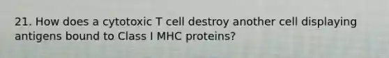 21. How does a cytotoxic T cell destroy another cell displaying antigens bound to Class I MHC proteins?