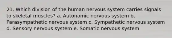 21. Which division of the human nervous system carries signals to skeletal muscles? a. Autonomic nervous system b. Parasympathetic nervous system c. Sympathetic nervous system d. Sensory nervous system e. Somatic nervous system